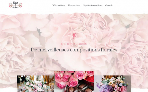 https://www.fleuretcouleur.fr